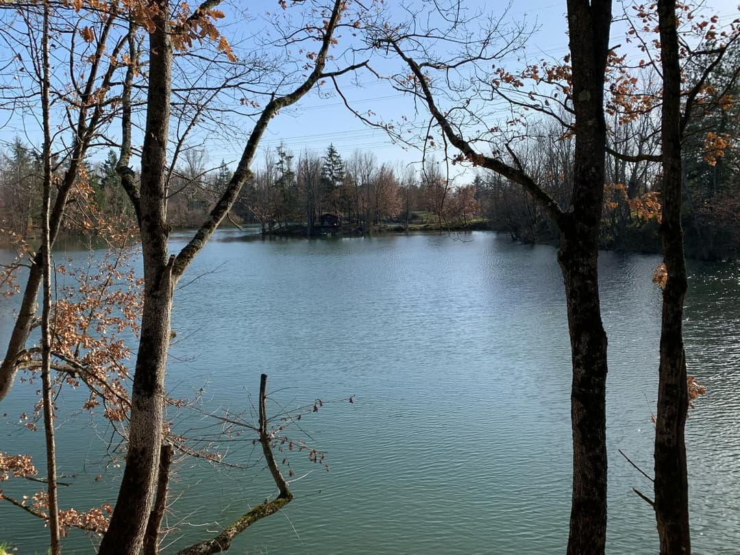 Cabane au bord d’un lac privé 
