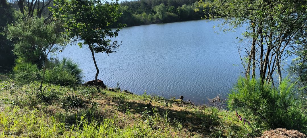 Étang de 7 hectares et chalet tout confort pour 4 personnes 