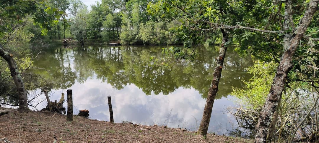 privatisation du petit étang de 2ha un endroit rêvé pour pêcher et camper 