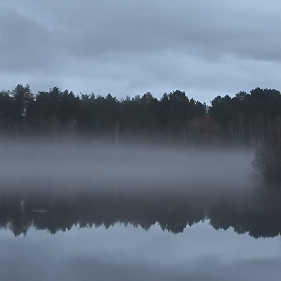 Étang de 7 hectares et chalet tout confort pour 4 personnes 