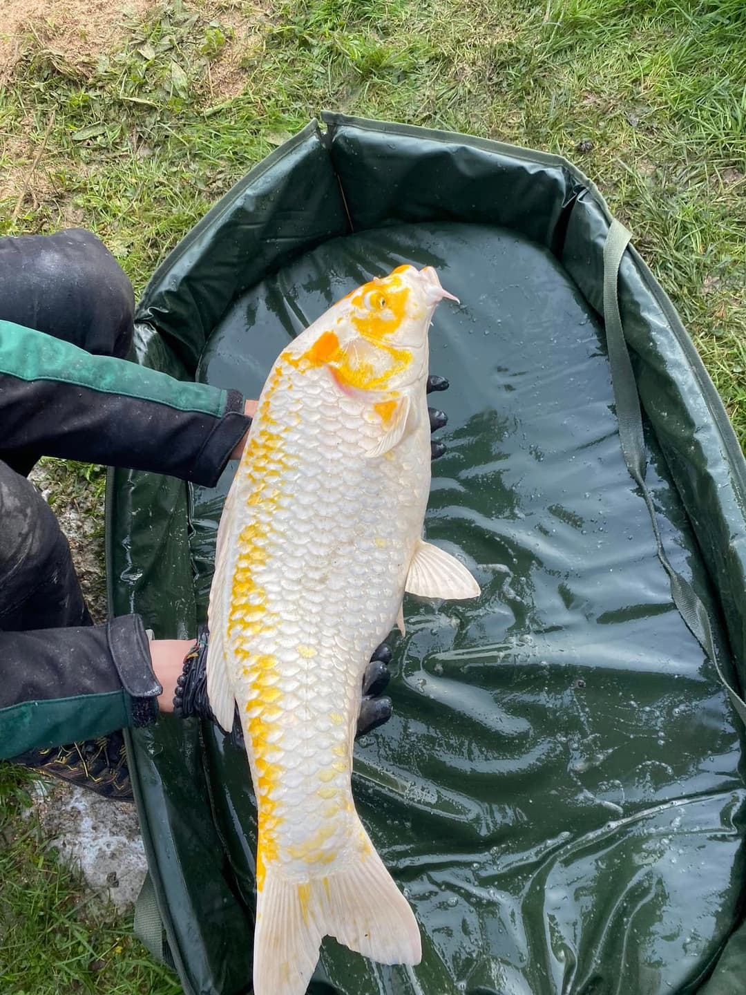 Étang de 25 ha pour une journée de pêche inoubliable 
