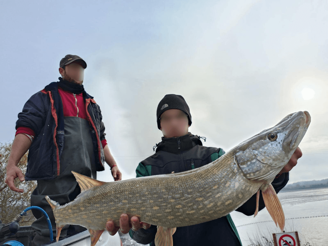 Étang de 25 ha pour une journée de pêche inoubliable 