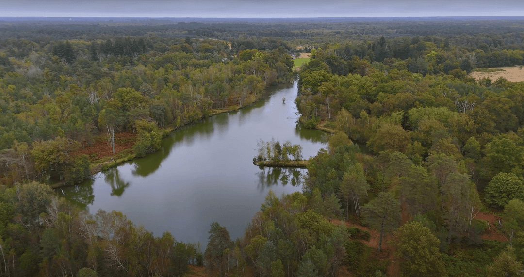 Location en Sologne, deux étangs avec une maison 4 couchages 