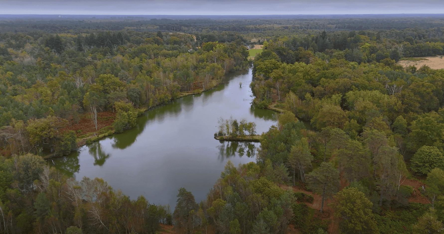 Location en Sologne, deux étangs avec une maison 4 couchages 