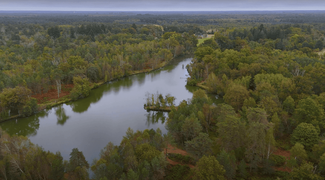 Location en Sologne, deux étangs avec une maison 4 couchages 