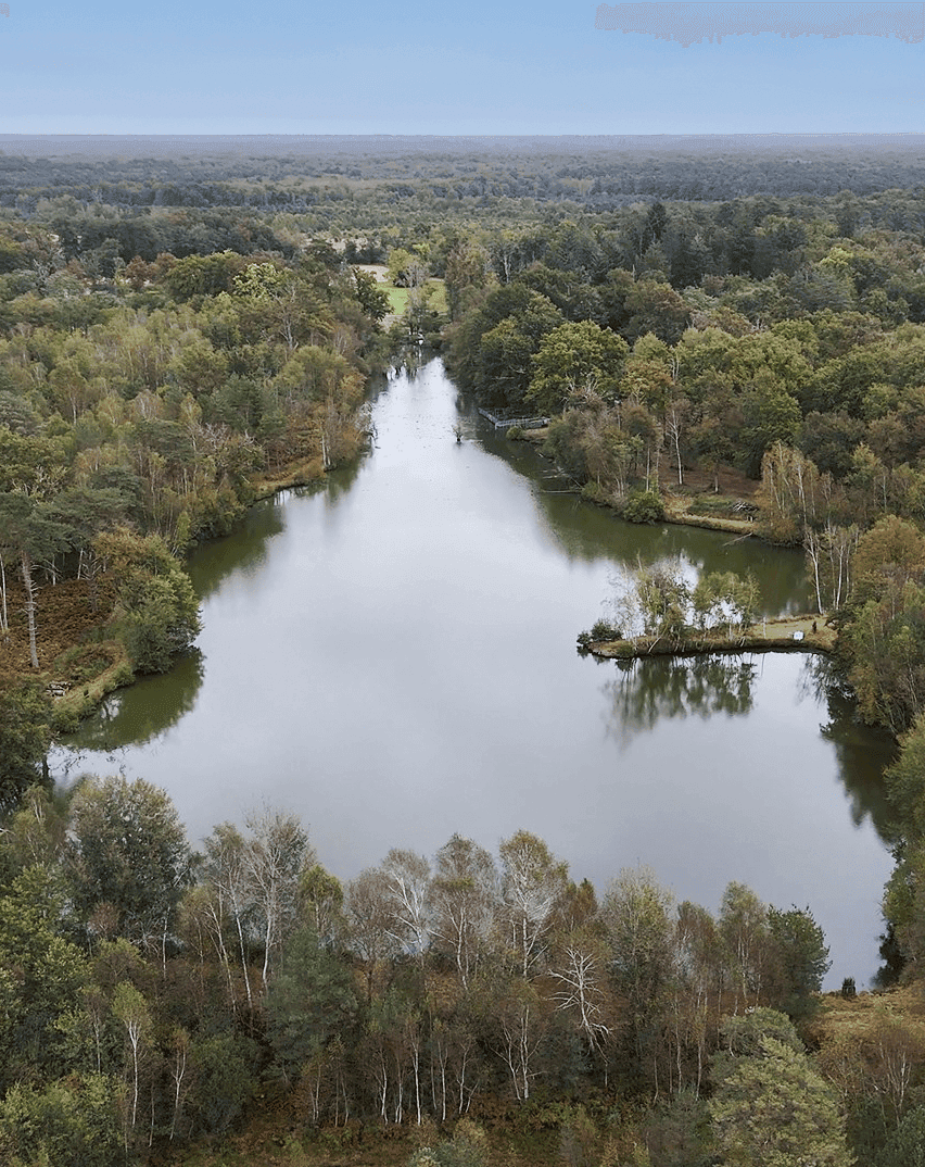 Location en Sologne, deux étangs avec une maison 4 couchages 