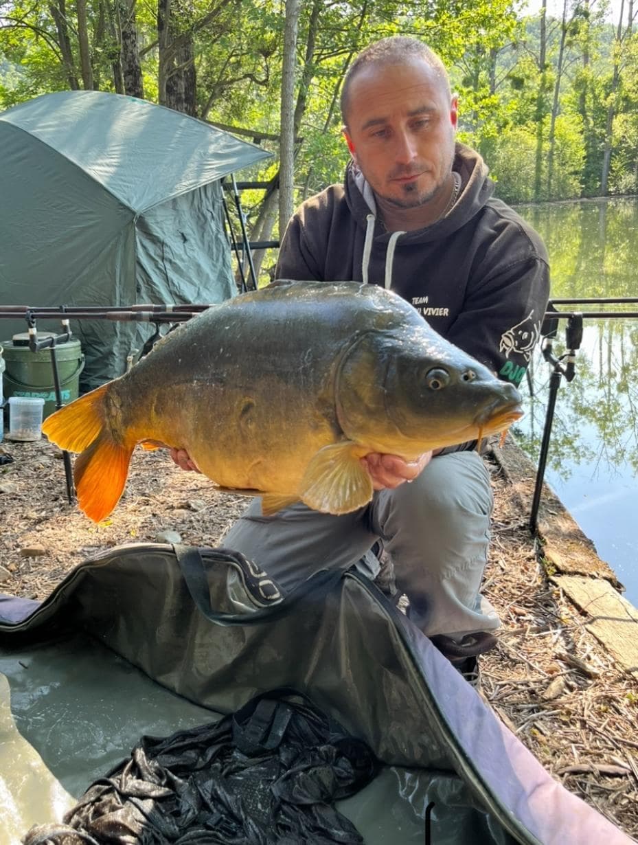 Domaine 7 couchages avec un étang et un coup de pêche en rivière et étang 2 hectares 
