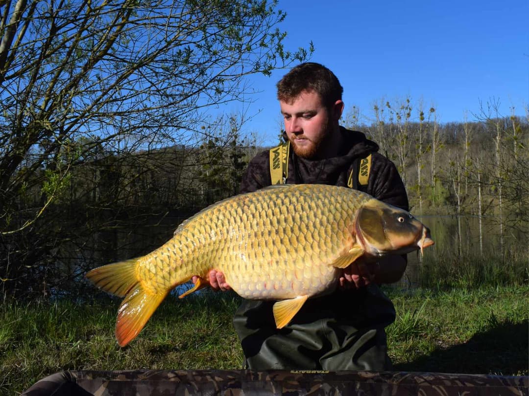 Domaine 7 couchages avec un étang et un coup de pêche en rivière et étang 2 hectares 