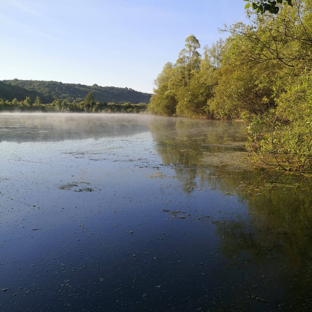 Deux étangs de 3.5ha avec un coup de pêche en rivière à louer dans la Vienne 