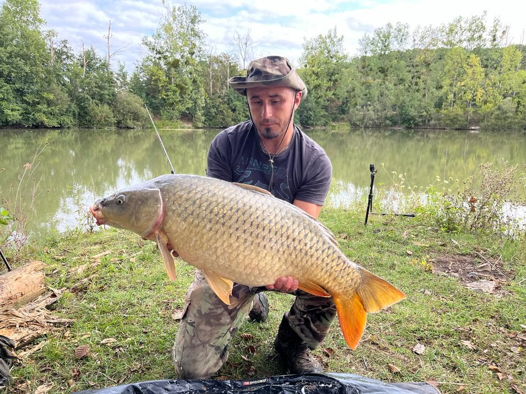 Domaine 7 couchages avec un étang et un coup de pêche en rivière et étang 2 hectares 