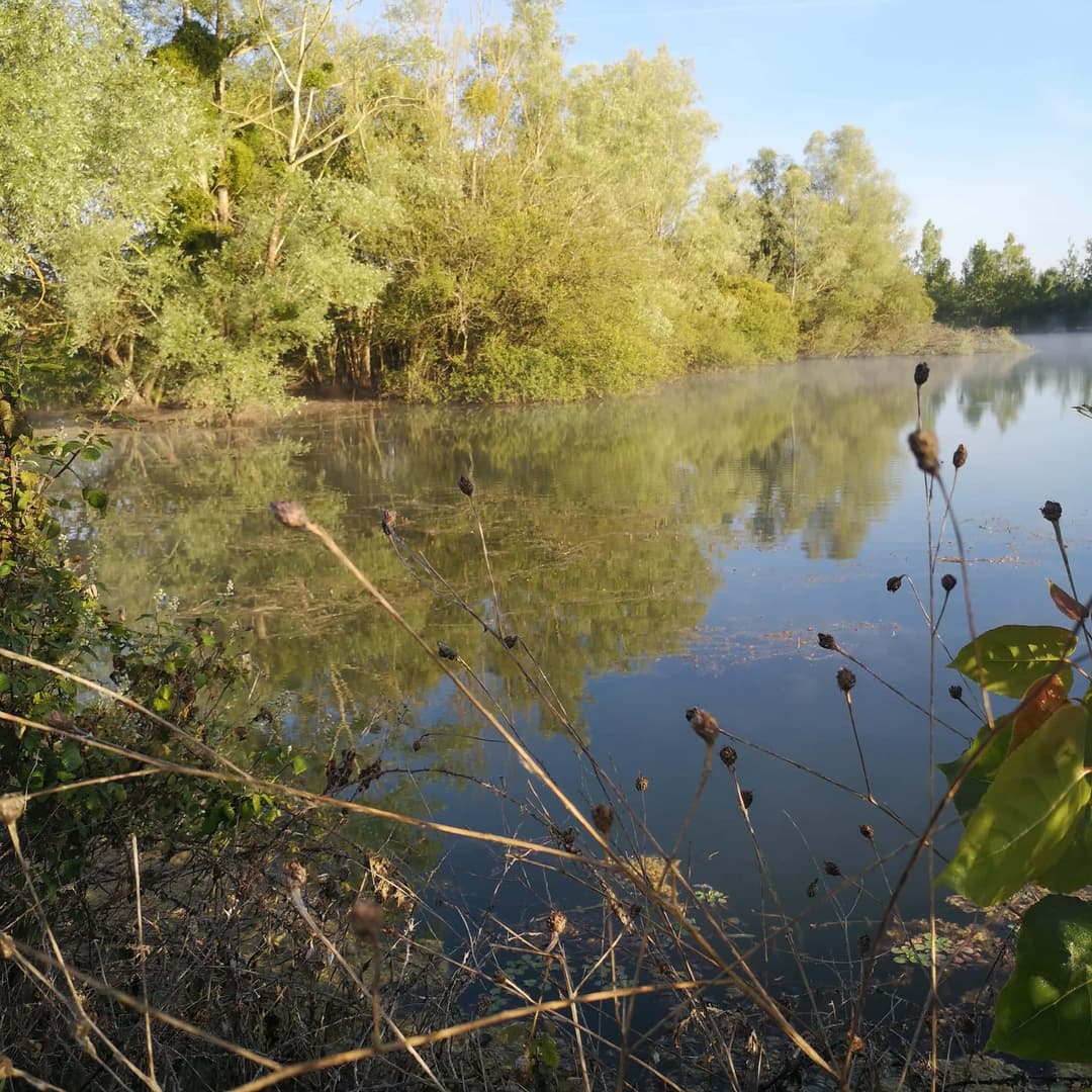 Deux étangs de 3.5ha avec un coup de pêche en rivière à louer dans la Vienne 