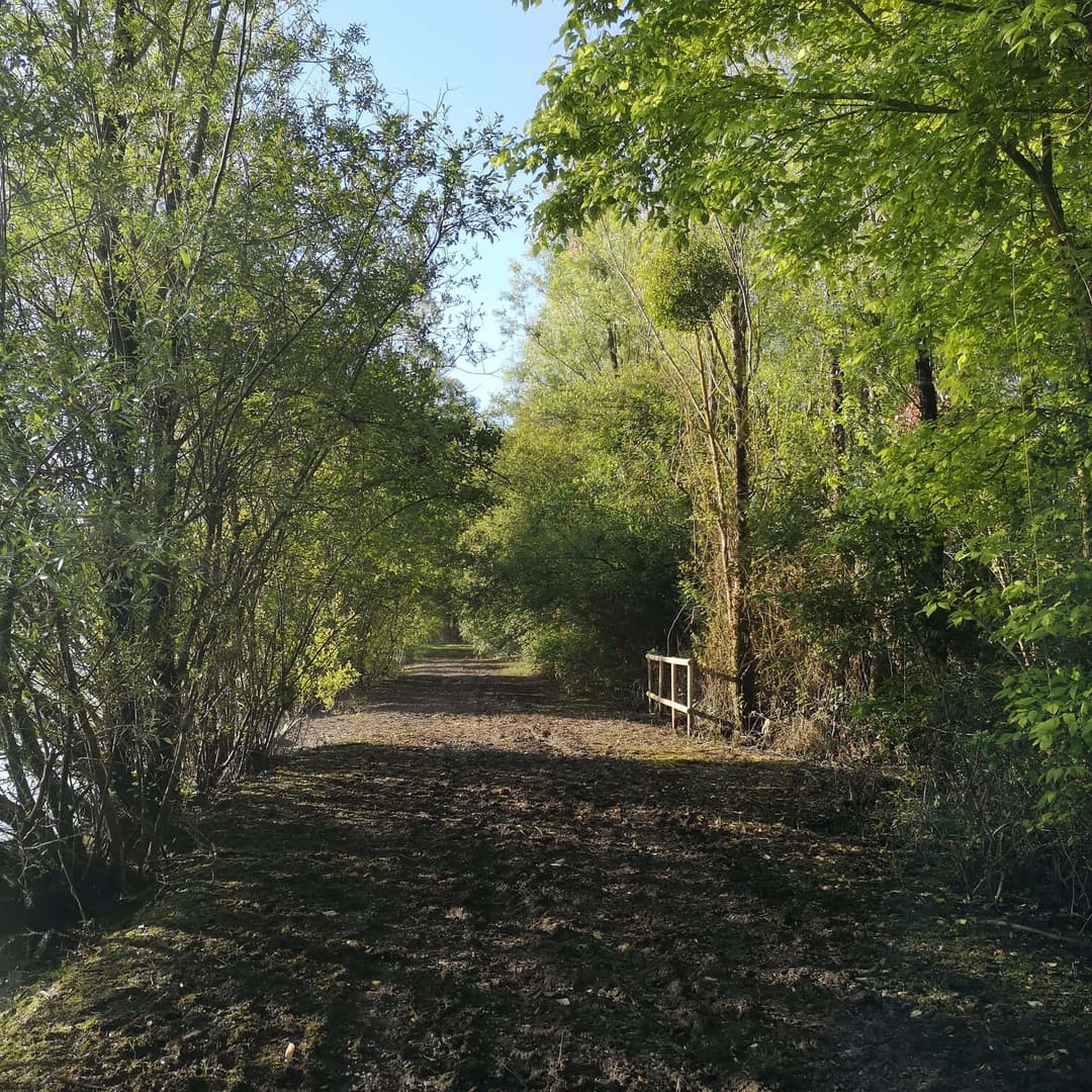 Deux étangs de 3.5ha avec un coup de pêche en rivière à louer dans la Vienne 