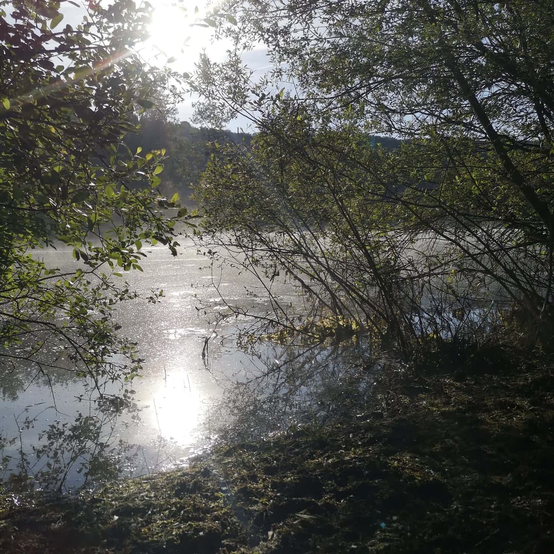 Deux étangs de 3.5ha avec un coup de pêche en rivière à louer dans la Vienne 