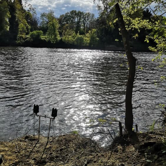Domaine 7 couchages avec un étang et un coup de pêche en rivière et étang 2 hectares 