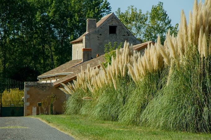 Domaine 7 couchages avec un étang et un coup de pêche en rivière et étang 2 hectares 