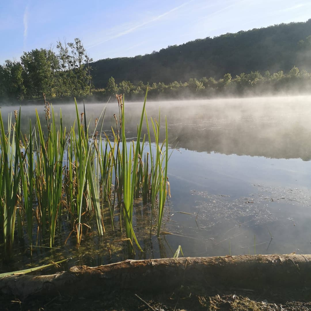 Deux étangs de 3.5ha avec un coup de pêche en rivière à louer dans la Vienne 