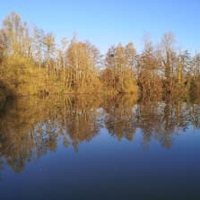 Deux étangs de 3.5ha avec un coup de pêche en rivière à louer dans la Vienne 