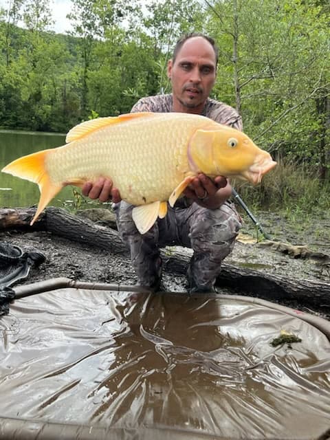 Domaine 7 couchages avec un étang et un coup de pêche en rivière et étang 2 hectares 