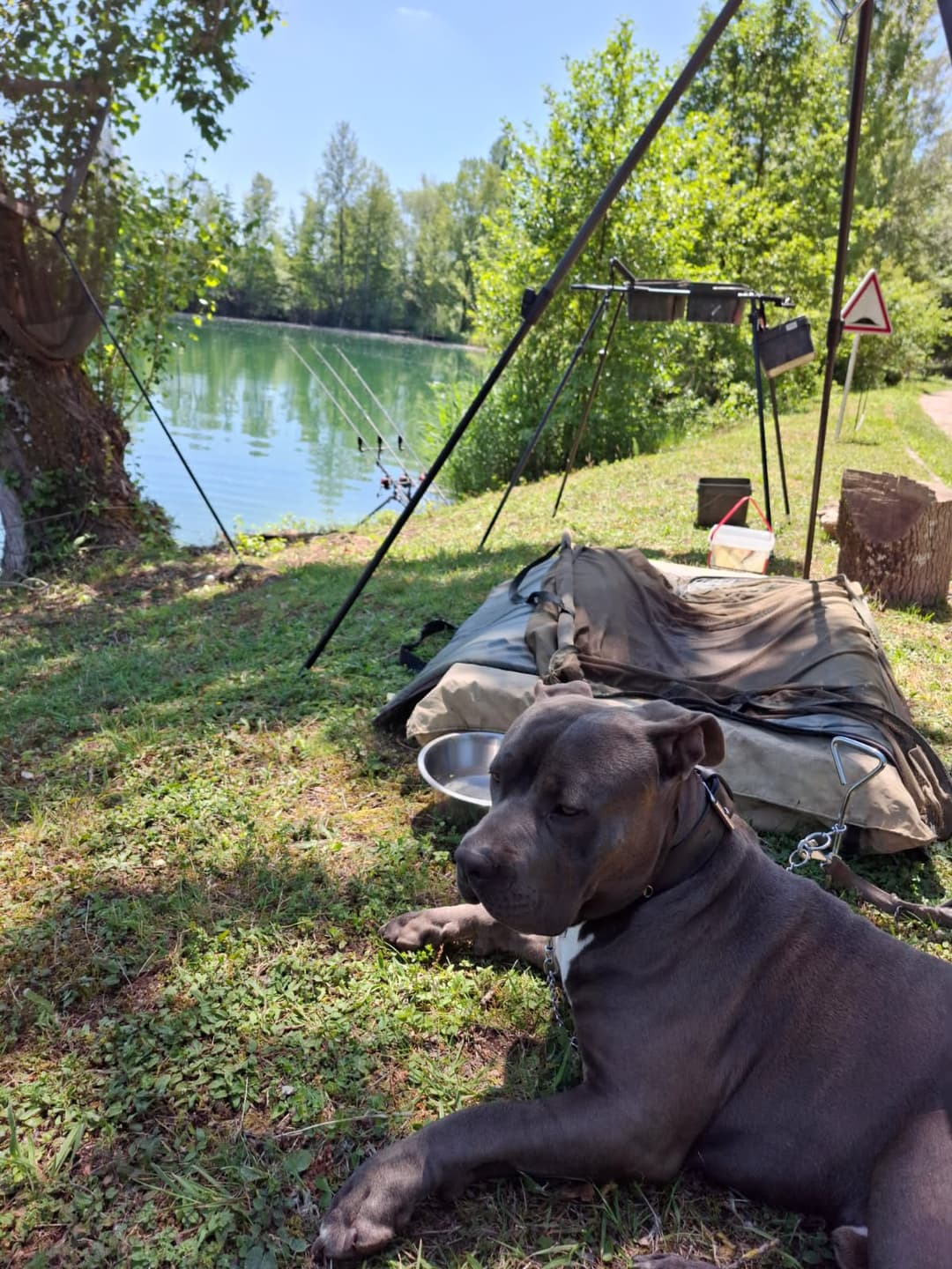Etang clos de 3ha avec lodge, douches, WC et grandes tables champêtres pour 4 à 10 personnes