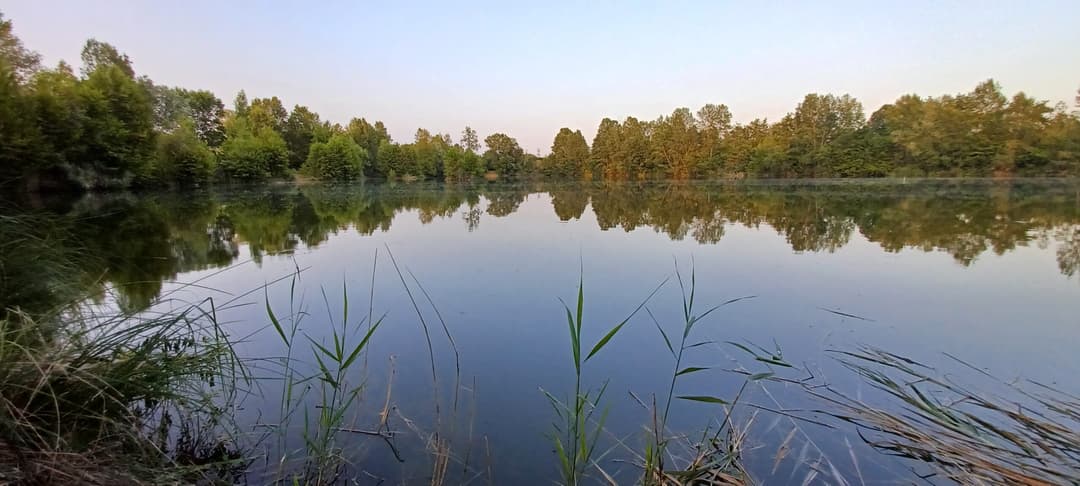 Etang clos de 3ha avec lodge, douches, WC et grandes tables champêtres pour 6 personnes 