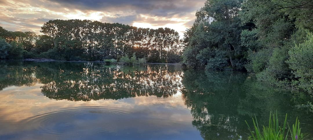 Etang de 3.5ha avec 5 postes de pêche 