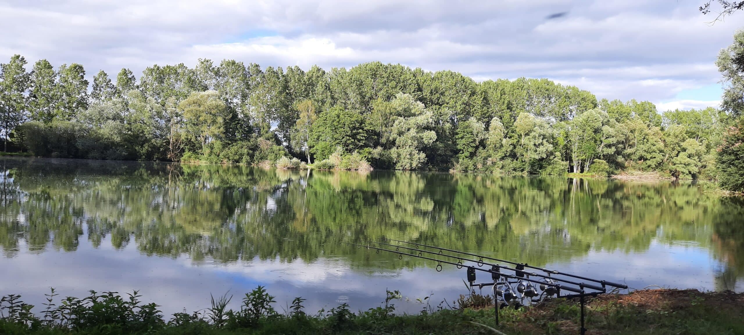 Etang de 3.5ha avec 5 postes de pêche 