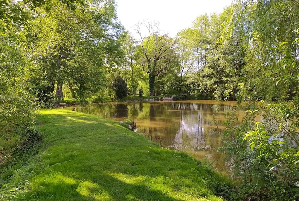 Etang dans le limousin typé Fisherie 1.2 ha 