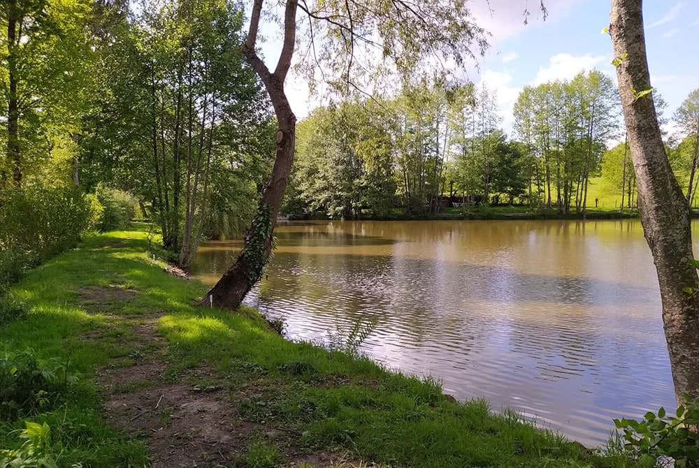 Etang dans le limousin typé Fisherie 1.2 ha 