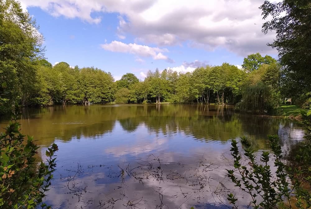 Etang dans le limousin typé Fisherie 1.2 ha 