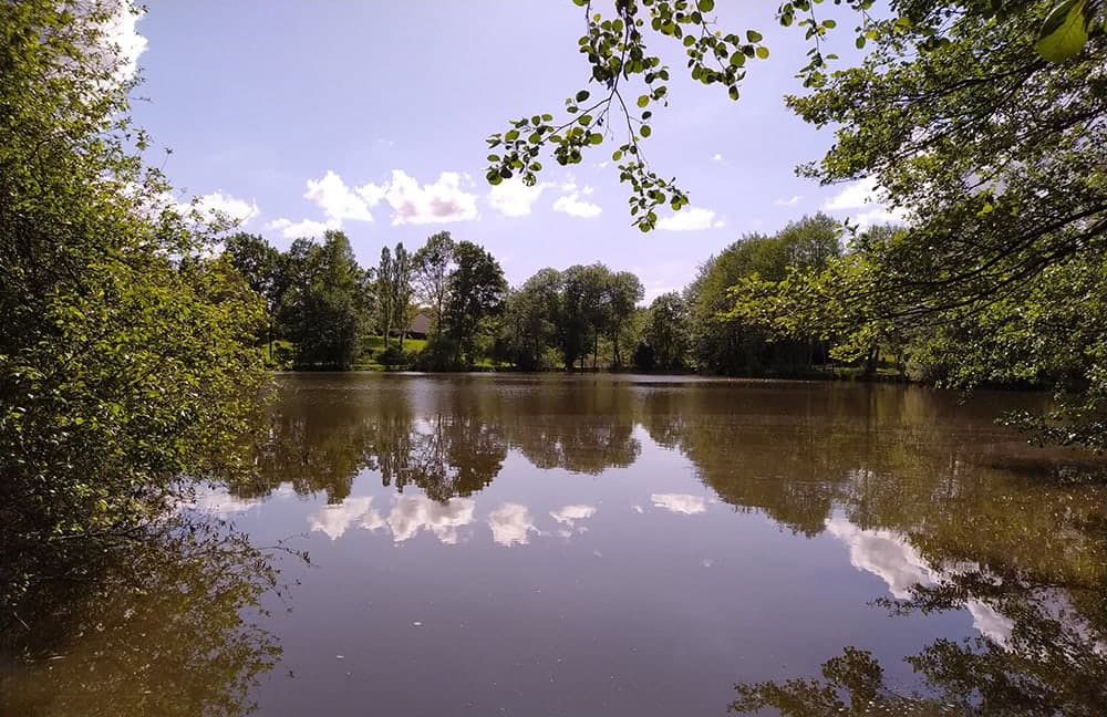 Etang dans le limousin typé Fisherie 1.2 ha 