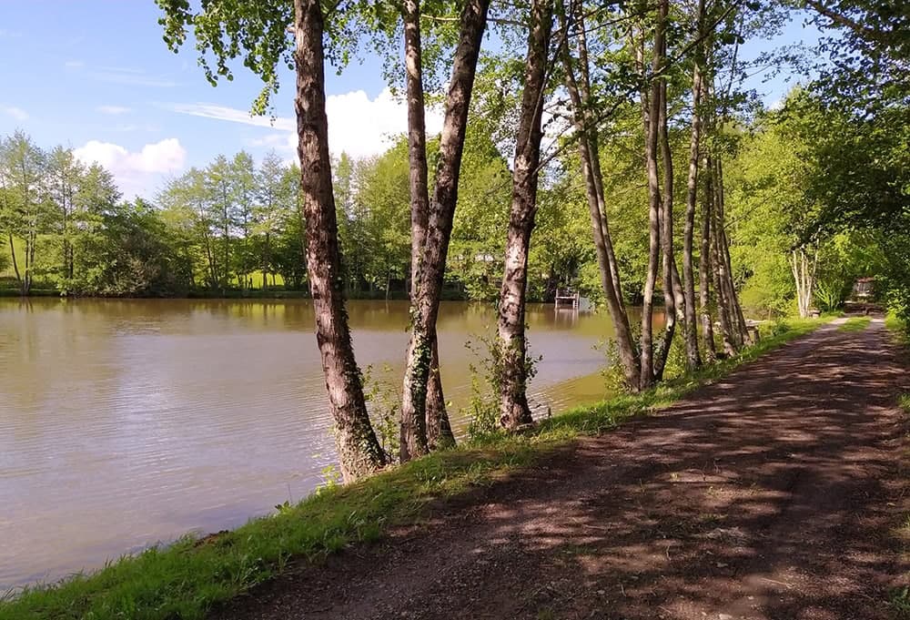 Etang dans le limousin typé Fisherie 1.2 ha 