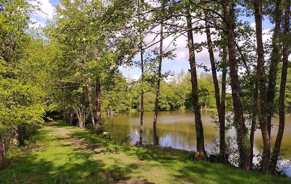 Etang dans le limousin typé Fisherie 1.2 ha 