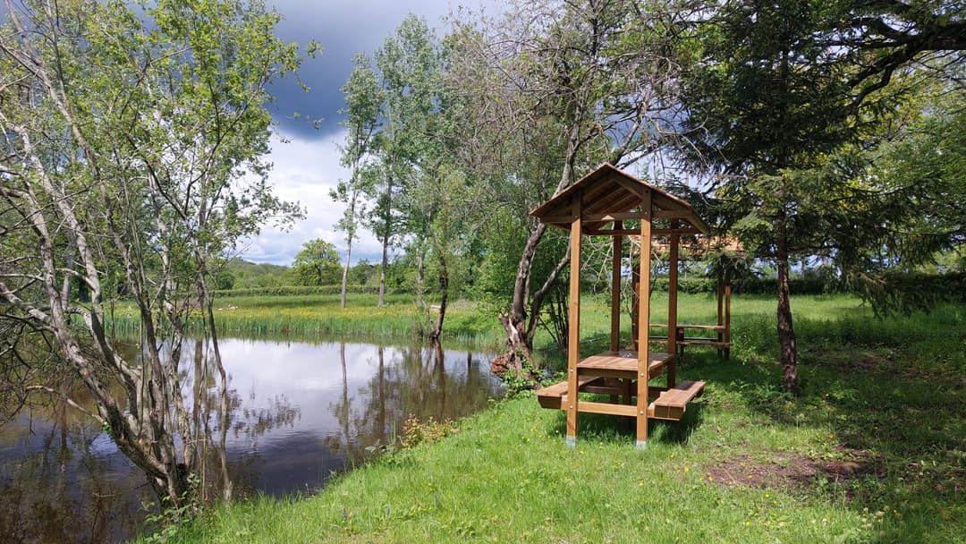 Étang sauvage de 1 ha sur 3 ha de tranquillité avec cabane 