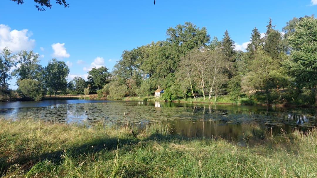 Étang sauvage de 1 ha sur 3 ha de tranquillité avec cabane 