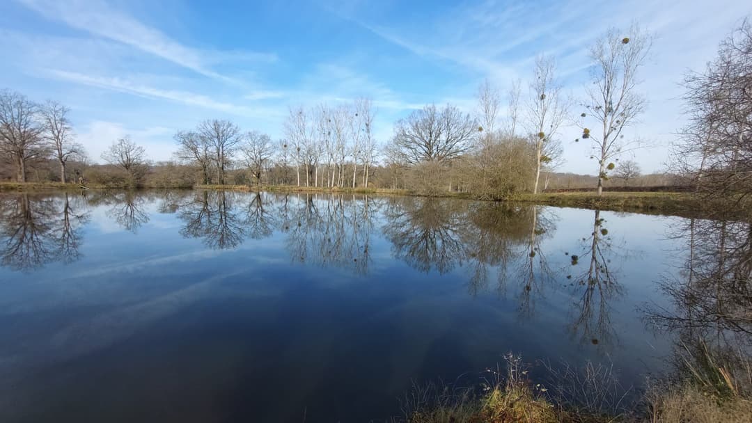 Étang sauvage de 1 ha sur 3 ha de tranquillité avec cabane 