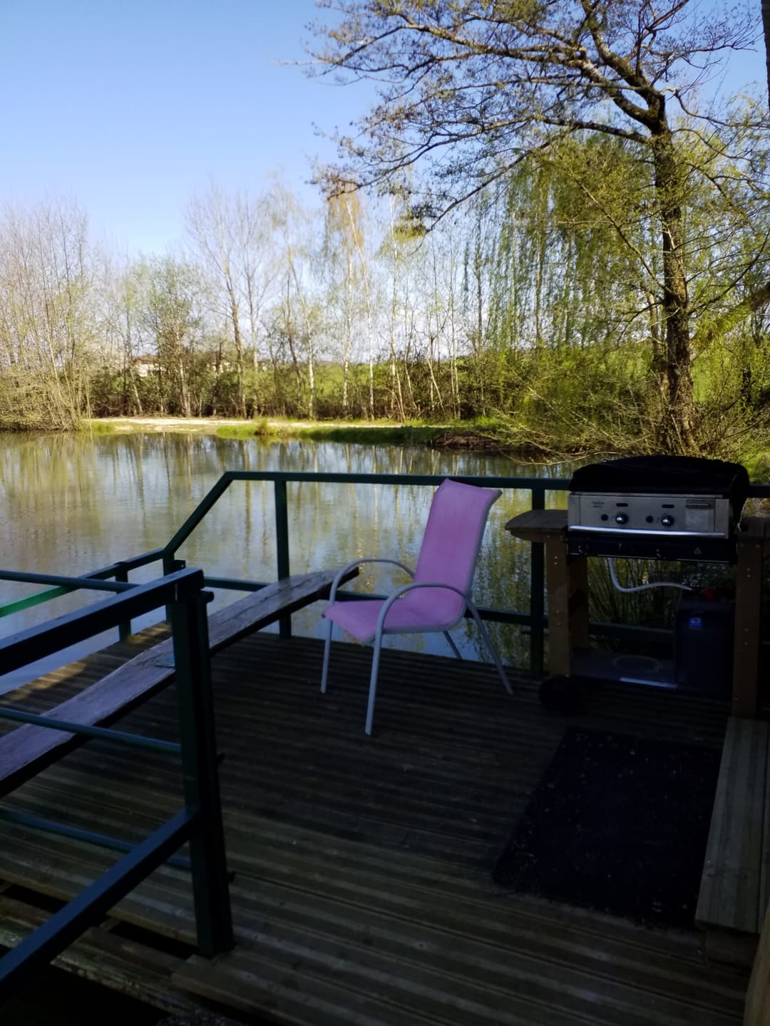 Cabane insolite avec plan d’eau au cœur de la Dombes 