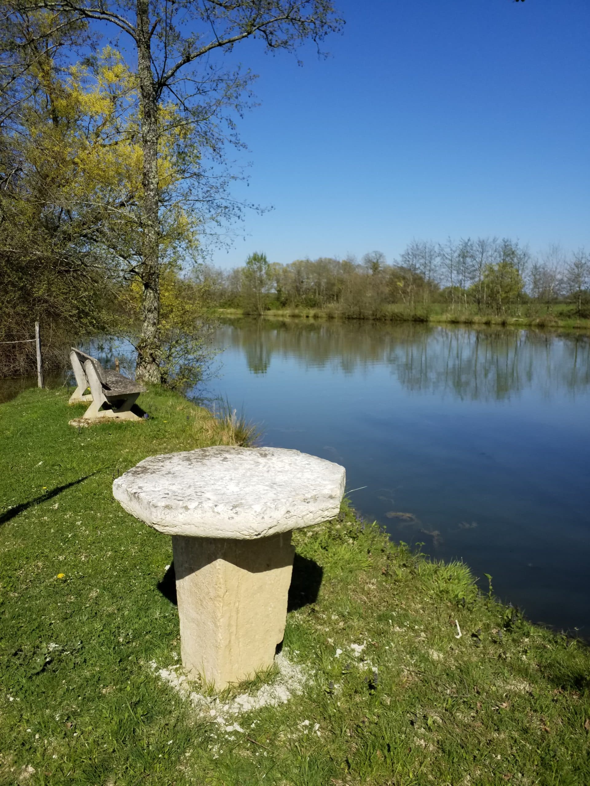 Cabane insolite avec plan d’eau au cœur de la Dombes 