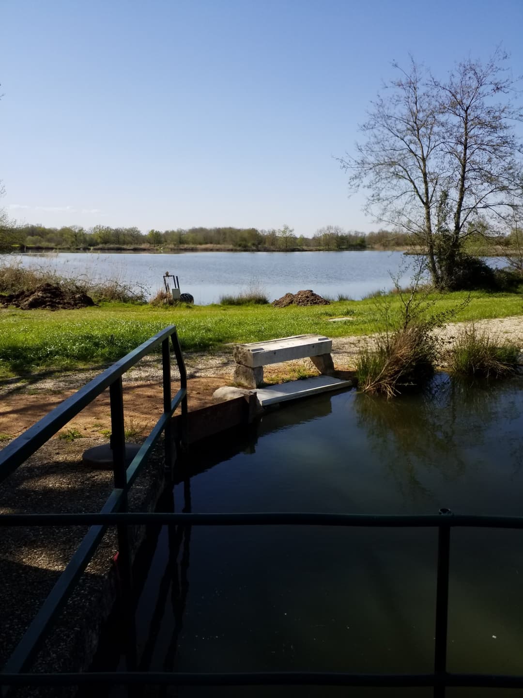 Cabane insolite avec plan d’eau au cœur de la Dombes 