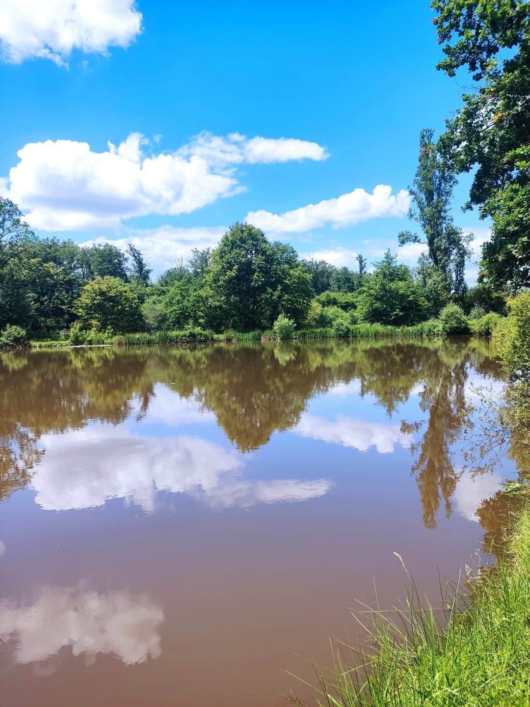L’étang de la chevrine 1.6ha pour une bonne journée de pêche 