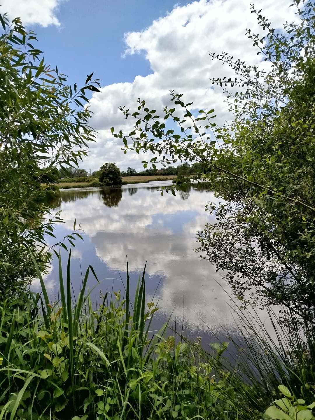 L’étang de la chevrine 1.6ha pour une bonne journée de pêche 
