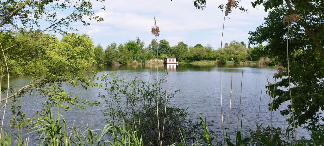 Etang de 1,2ha à 10min de Metz 