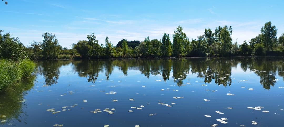 Etang de 1,2ha à 10min de Metz