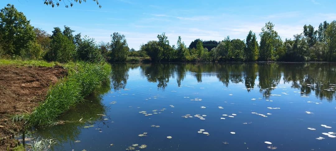Etang de 1,2ha à 10min de Metz