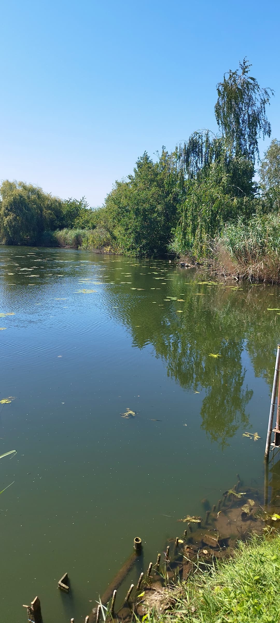 Etang de 1,2ha à 10min de Metz