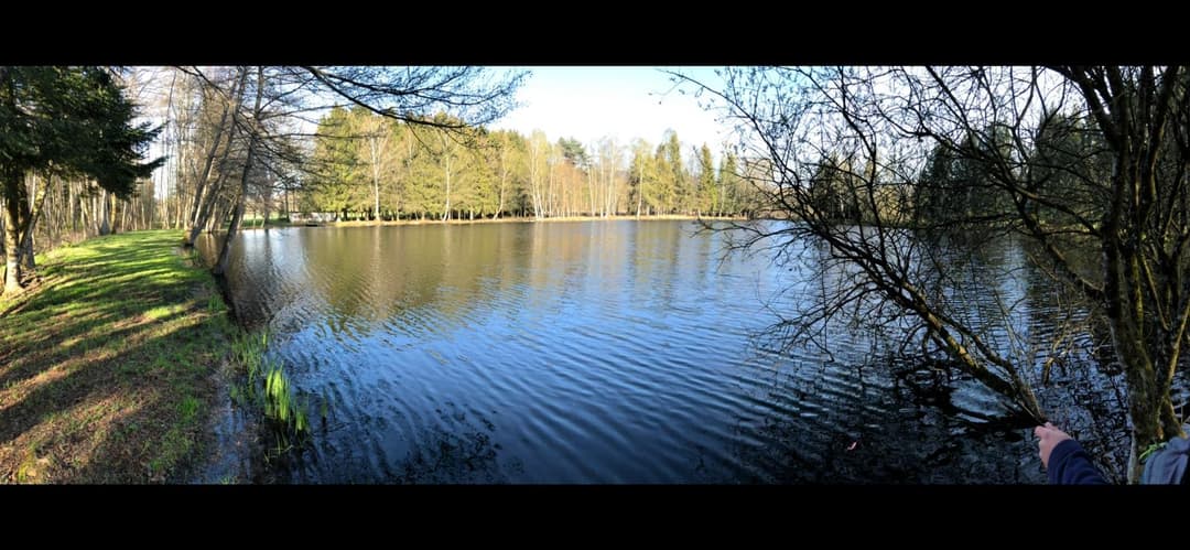 Paradis sauvage au cœur de la Haute-Saône (Plateau des Mille Étangs) 