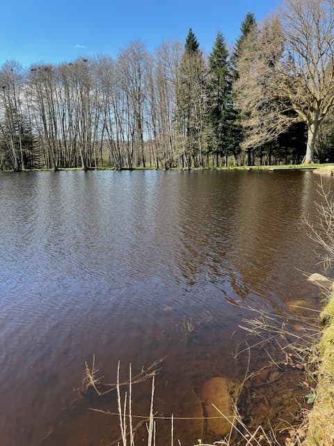 Paradis sauvage au cœur de la Haute-Saône (Plateau des Mille Étangs) 
