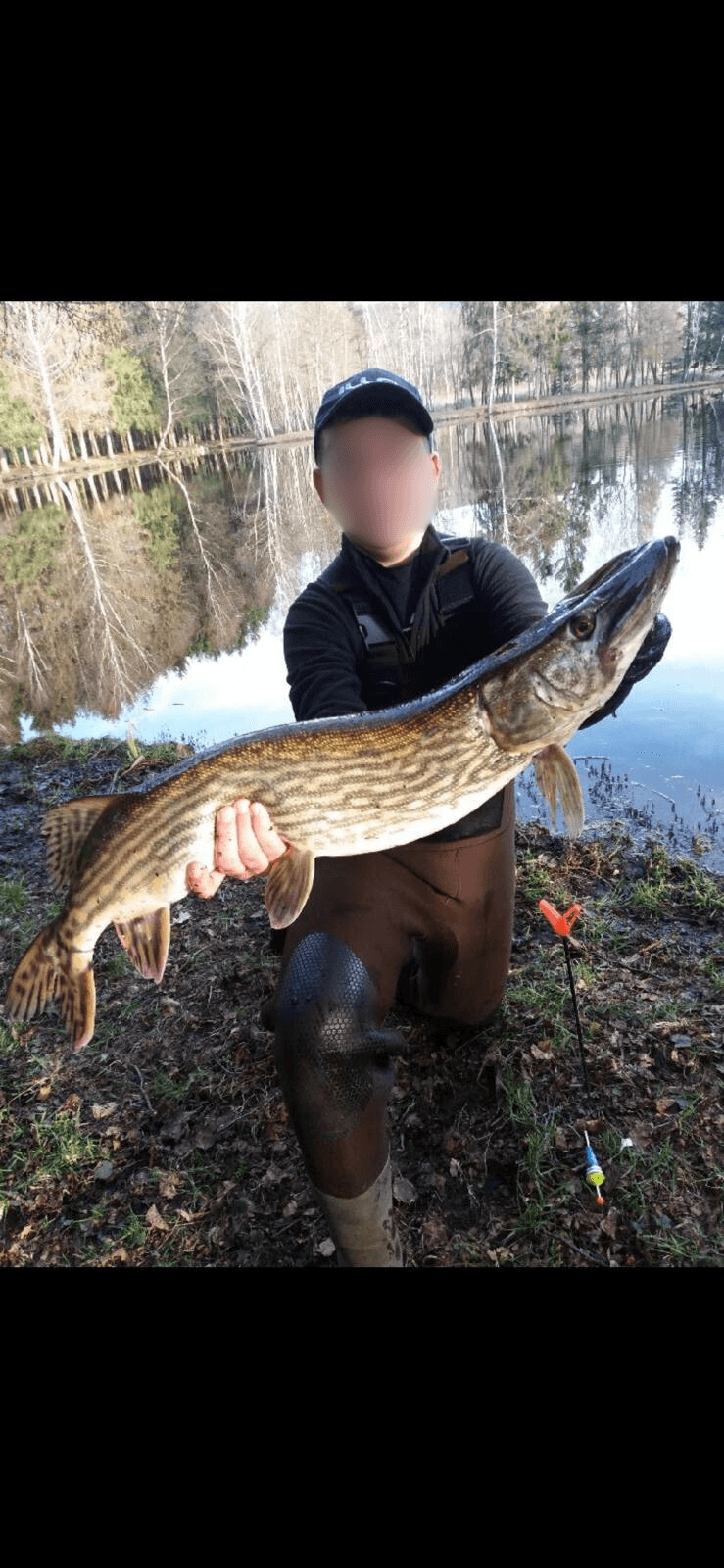 Paradis sauvage au cœur de la Haute-Saône (Plateau des Mille Étangs) 