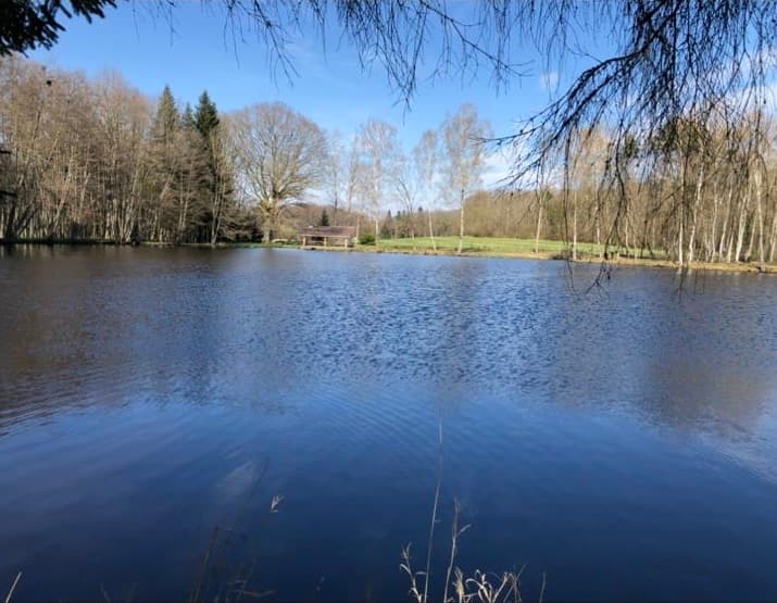 Paradis sauvage au cœur de la Haute-Saône (Plateau des Mille Étangs) 