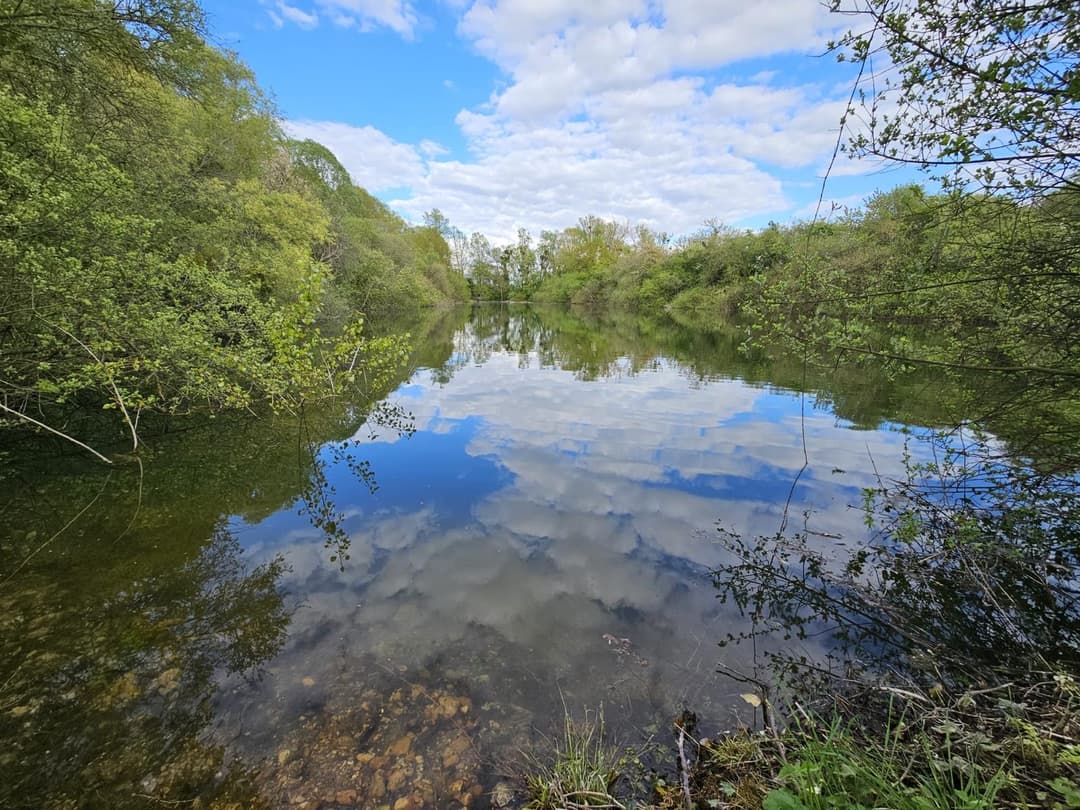 Étangs privés au cœur de la Vallée du Loir 