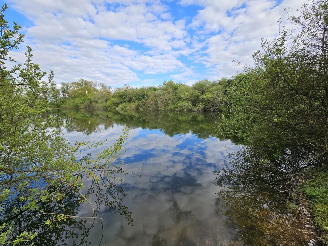 Étangs privés au cœur de la Vallée du Loir 